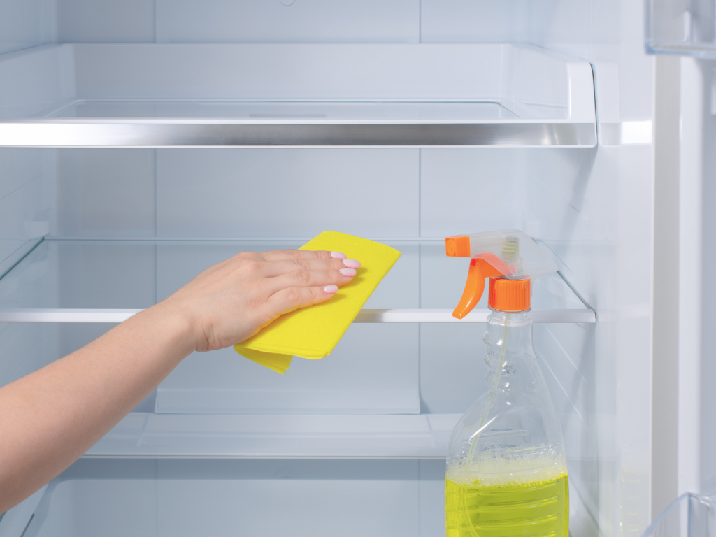 Refrigerator Cleaning